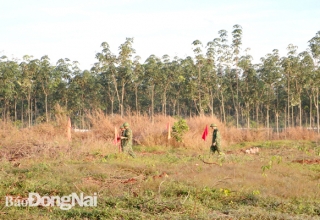 Sân bay Long Thành: Hoàn thành 3 hạng mục trong năm 2021